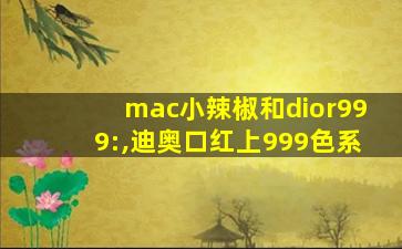mac小辣椒和dior999:,迪奥口红上999色系