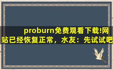 proburn免费观看下载!网站已经恢复正常，水友：先试试吧！