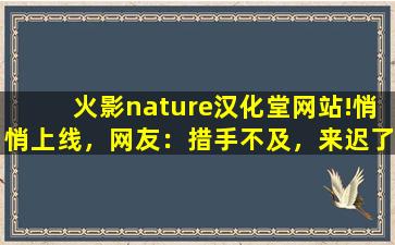 火影nature汉化堂网站!悄悄上线，网友：措手不及，来迟了